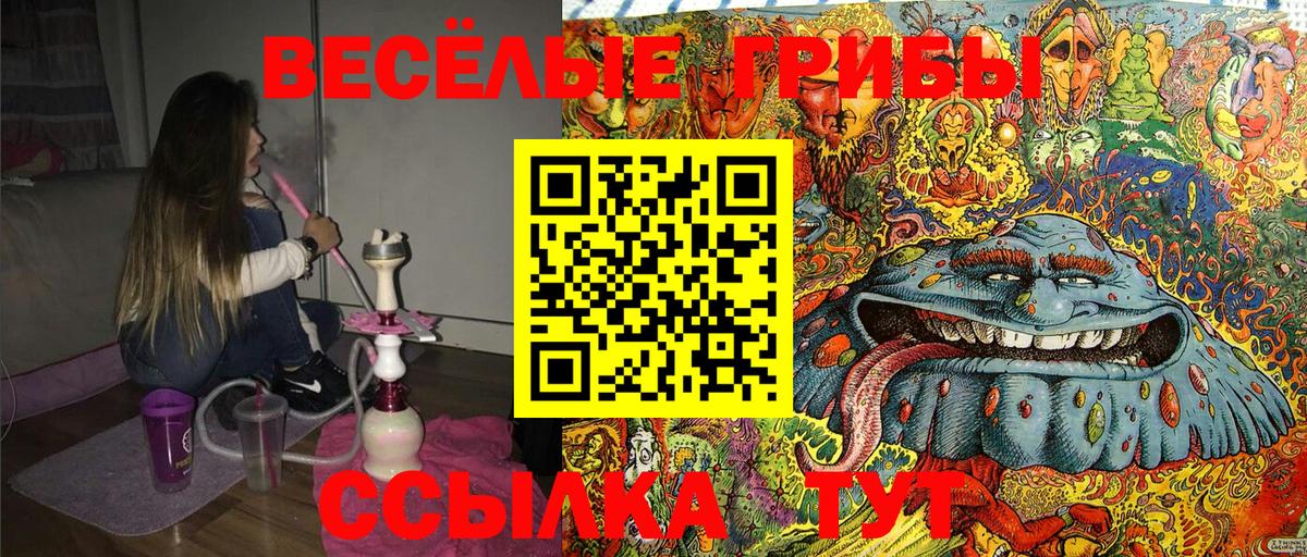 Галлюциногенные грибы Cubensis Северск