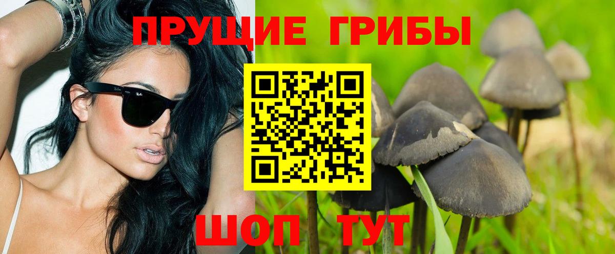 Галлюциногенные грибы прущие грибы  Вход с VPN  Северск 